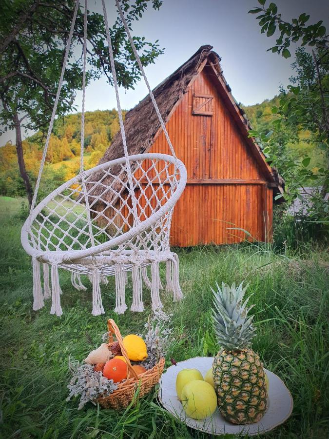Hotel Etno Domacinstvo Saponjic Nova Varoš Esterno foto