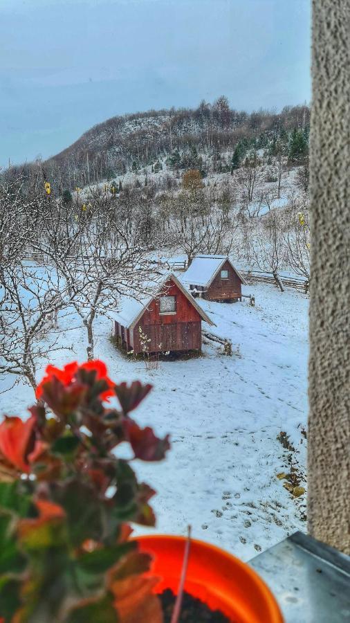 Hotel Etno Domacinstvo Saponjic Nova Varoš Esterno foto