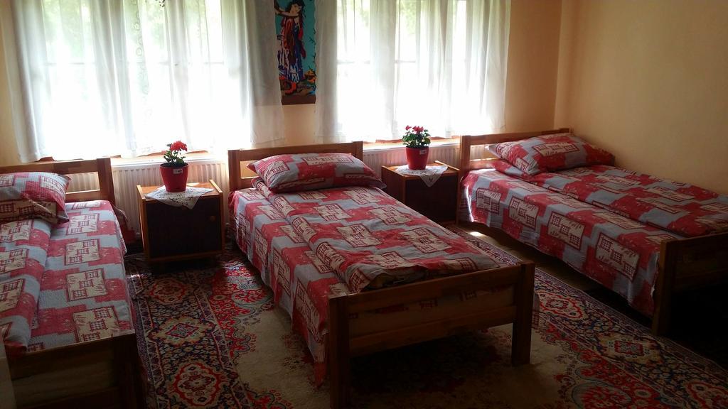 Hotel Etno Domacinstvo Saponjic Nova Varoš Esterno foto