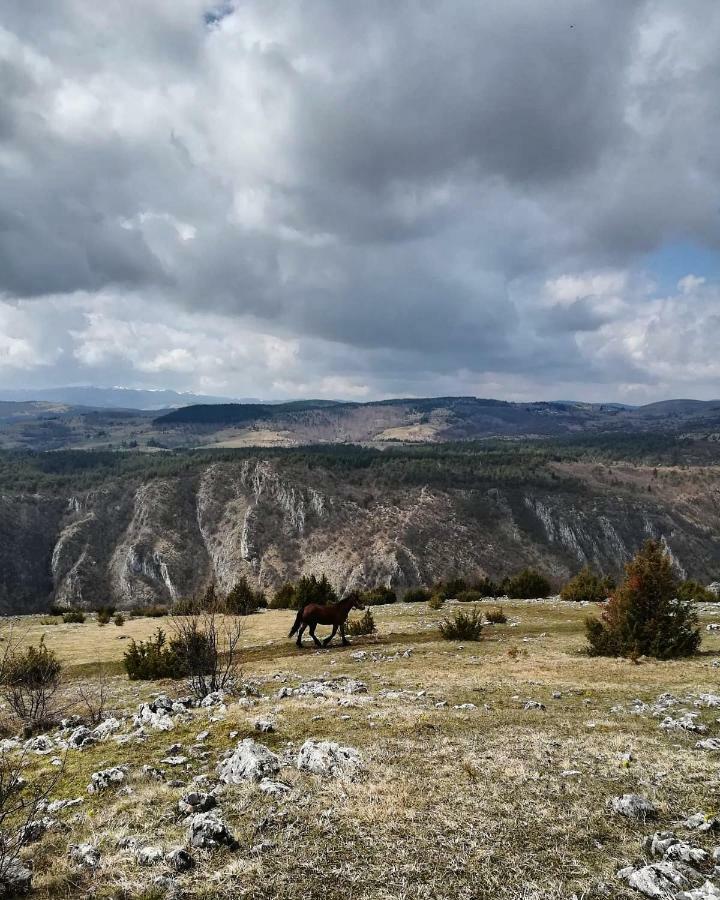 Hotel Etno Domacinstvo Saponjic Nova Varoš Esterno foto